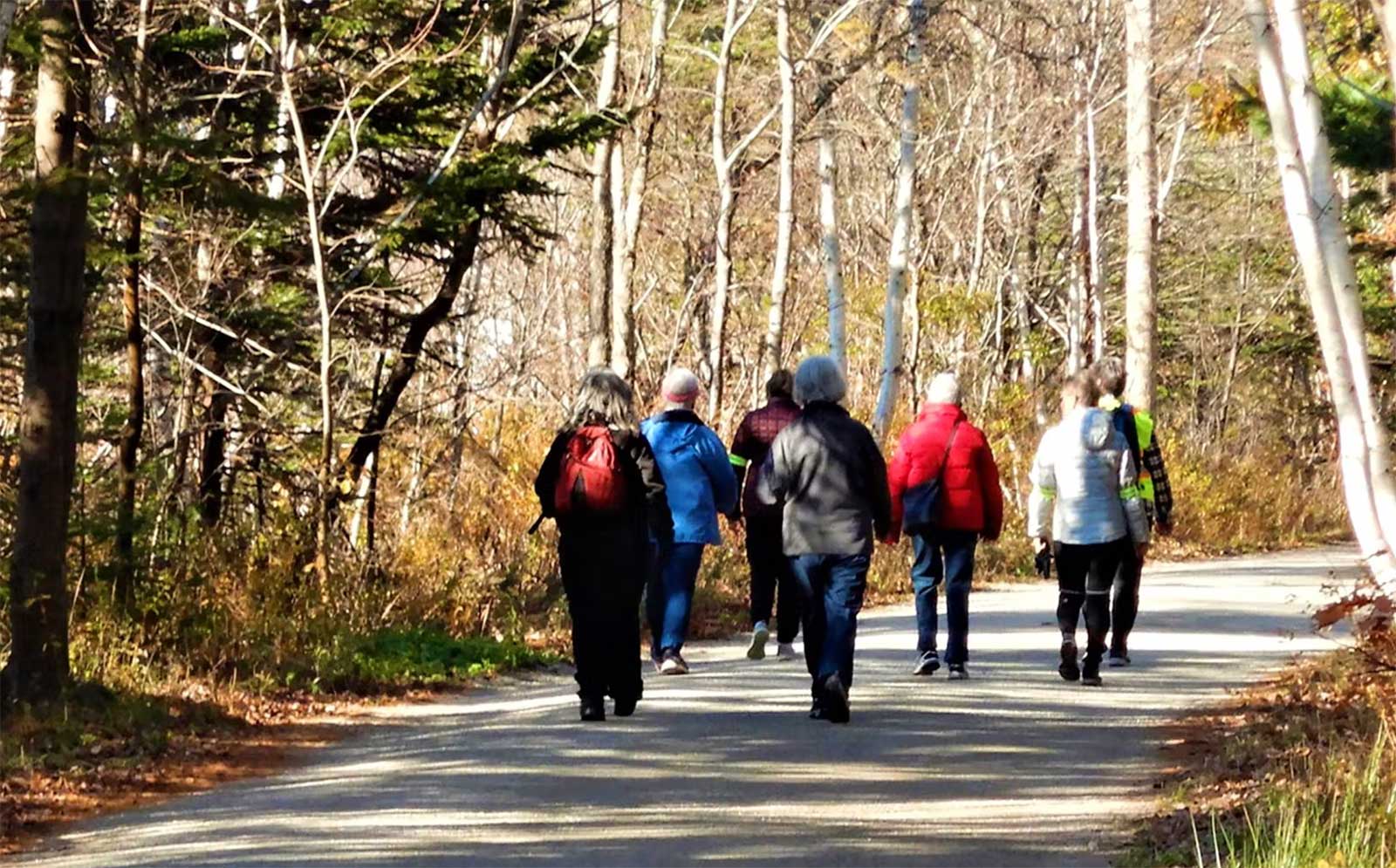 Zoomers Physiotherapy in Nova Scotia:  Tips for Maintaining and Progressing Walking Programs