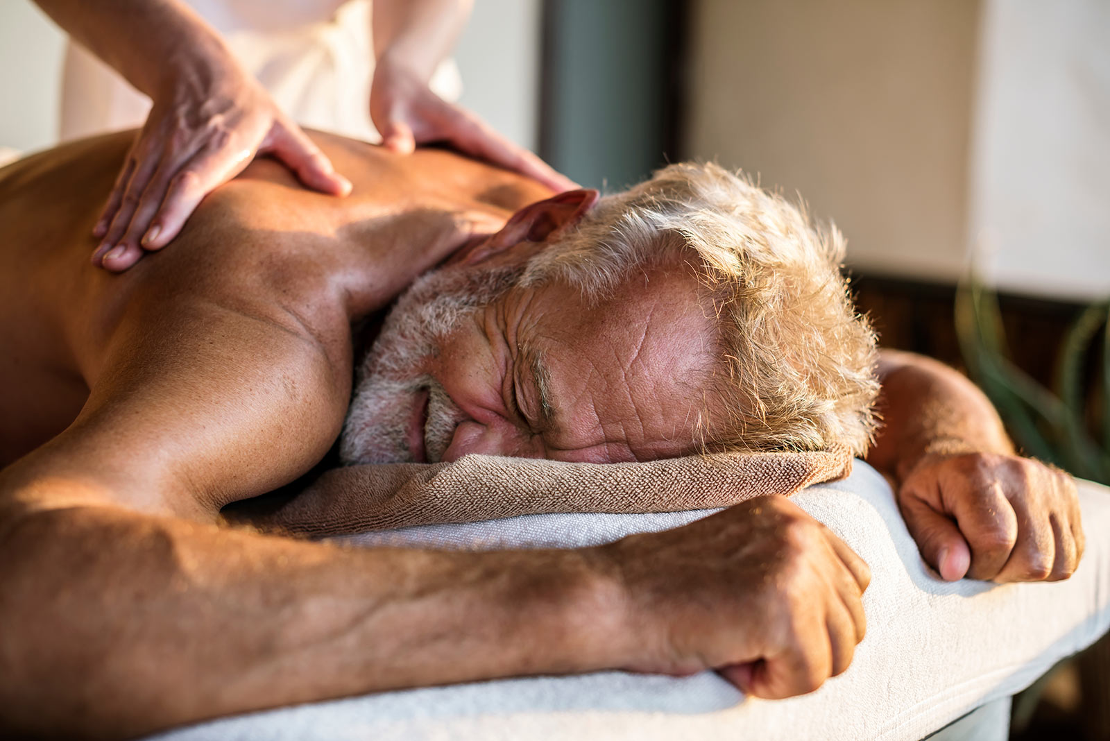 Maximizing the Effectiveness of Physiotherapy Care for Seniors:  The Role of Massage Therapy